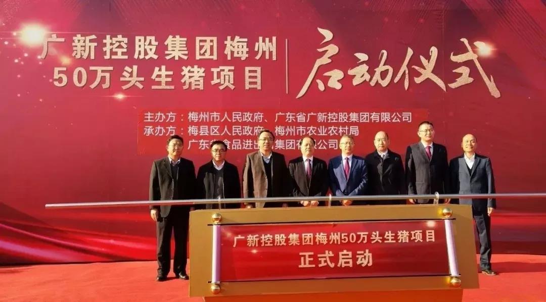 【2019年度必发88网站荣誉体系先进集体系列报道三：省食品】党建引领促发展 化危为机见成效