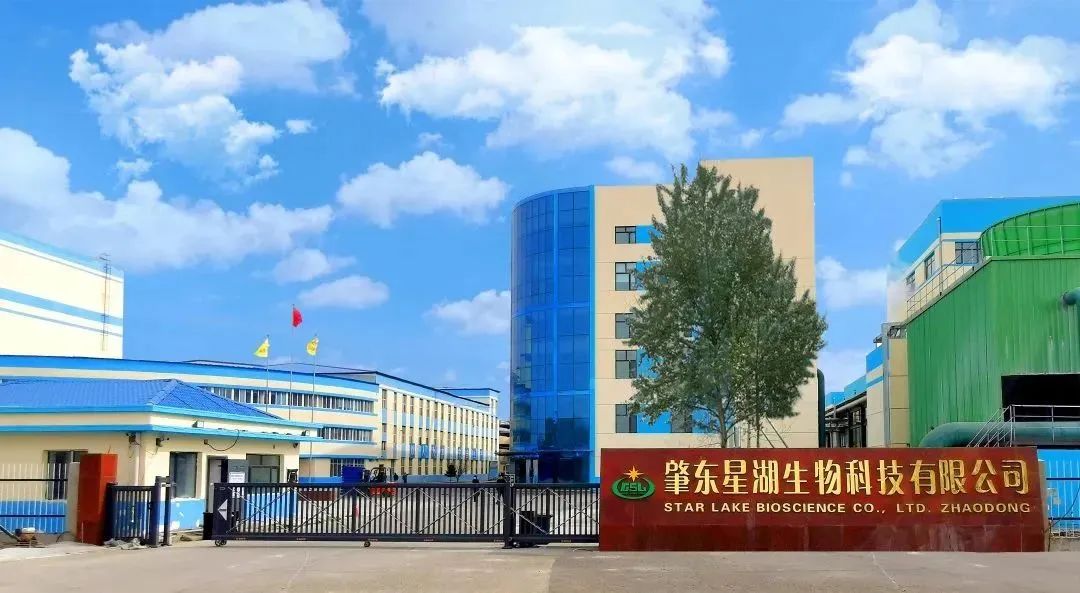 必发88网站集团深入贯彻全省高质量发展大会精神（四）